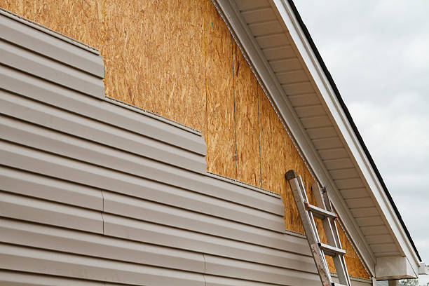 Professional Siding Inspection technician working in Newtonville, MA